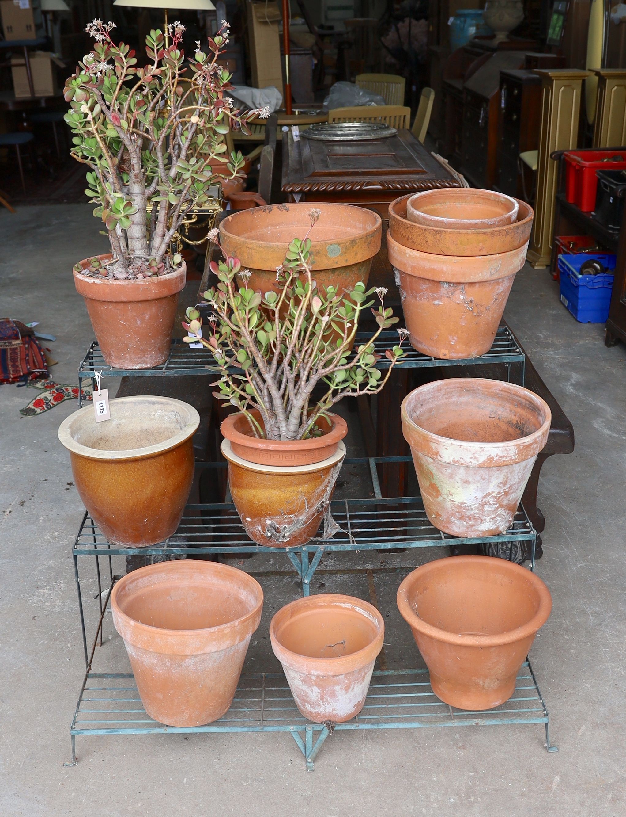 A painted wrought iron three tier pot stand together with a collection of 13 assorted terracotta and pottery pots